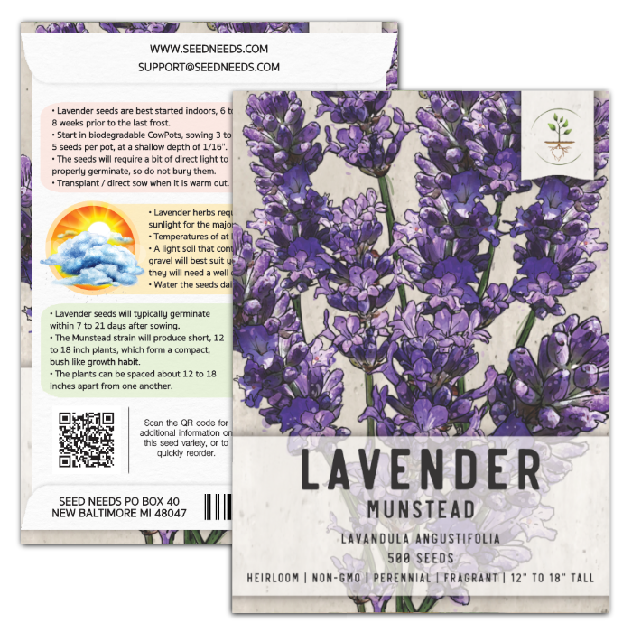 Munstead Lavender Seeds For Planting (Lavandula angustifolia) Seed